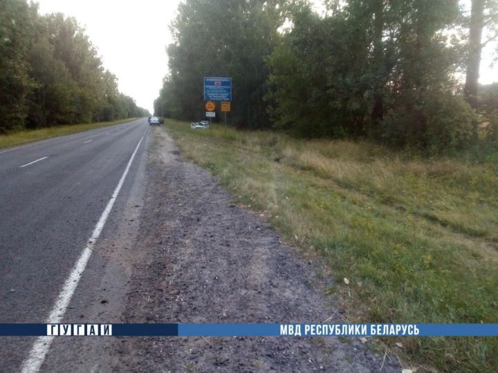 В Брестской области в ДТП пострадали водитель и пассажир