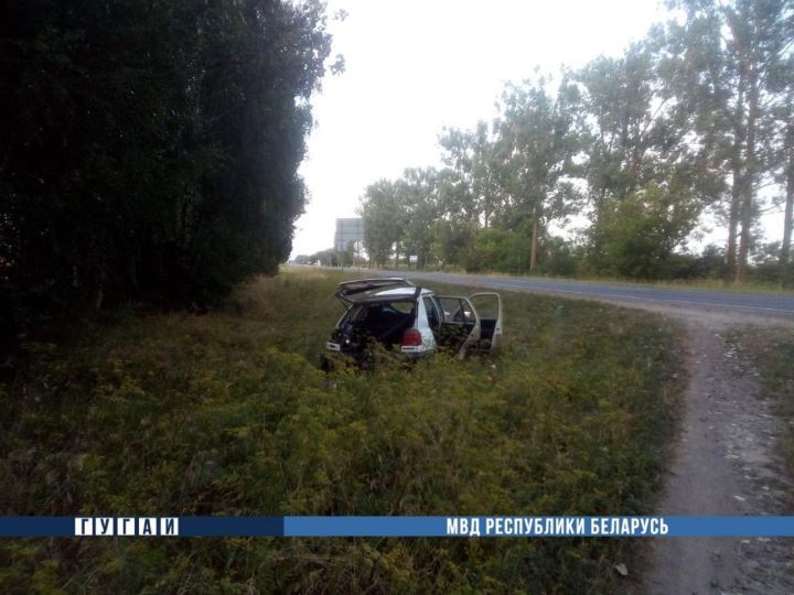 В Брестской области в ДТП пострадали водитель и пассажир