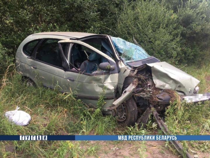 В Брестской области 72-летний водитель попал в серьезное ДТП