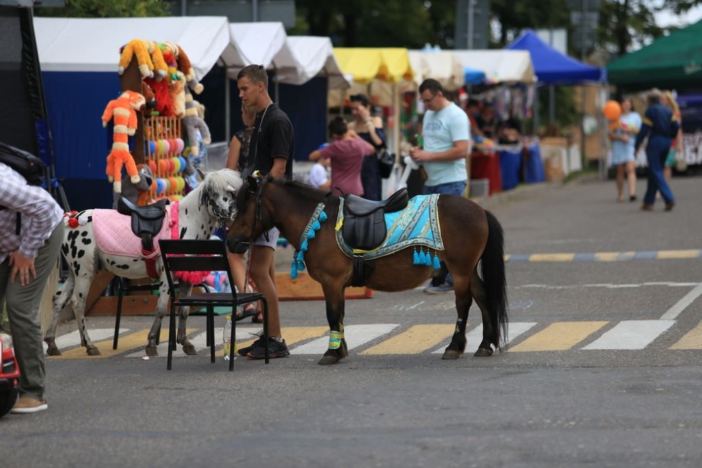 День города в Каменце. Фоторепортаж