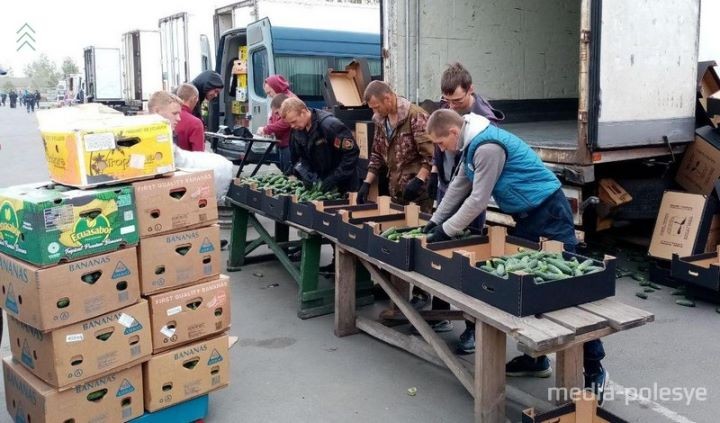 Фото носит иллюстративный характер