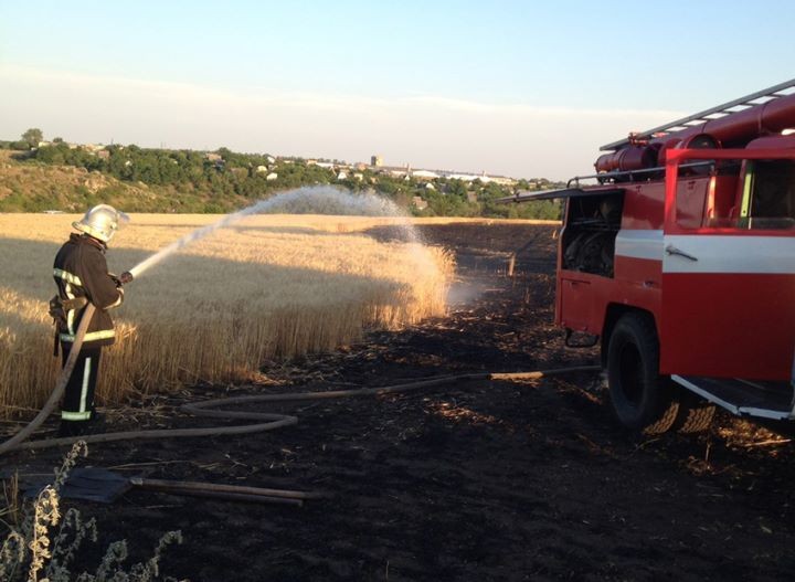 Фото носит иллюстративный характер (inshe.tv)