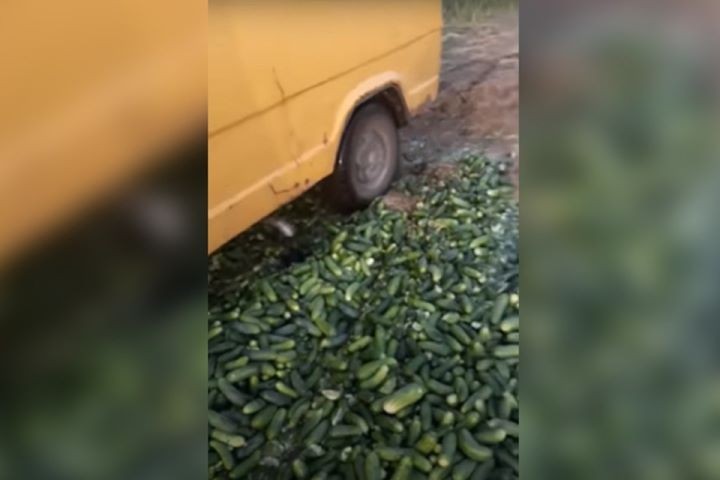 Фото: кадр из видео