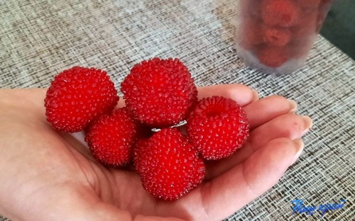 В Брестской области продавали необычную ягоду