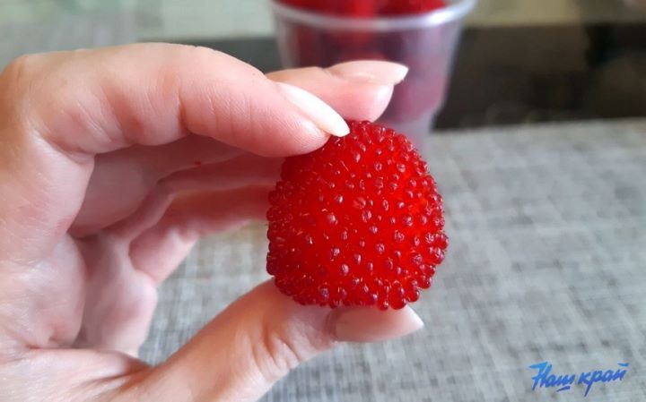 В Брестской области продавали необычную ягоду