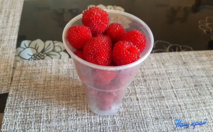 В Брестской области продавали необычную ягоду