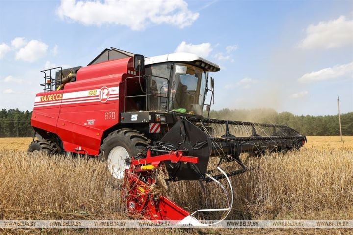 День города на жатве, или Как мэр Бреста комбайнеров поздравлял