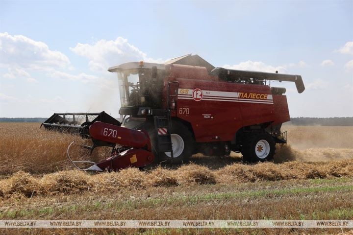 День города на жатве, или Как мэр Бреста комбайнеров поздравлял