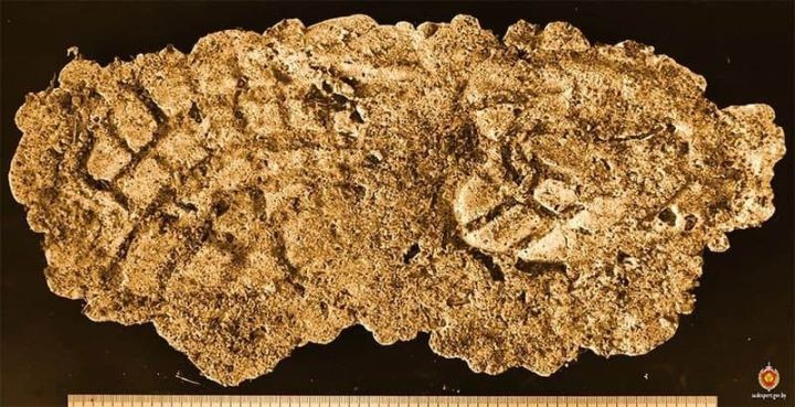 Судебные эксперты помогли раскрыть кражу в Брестской области