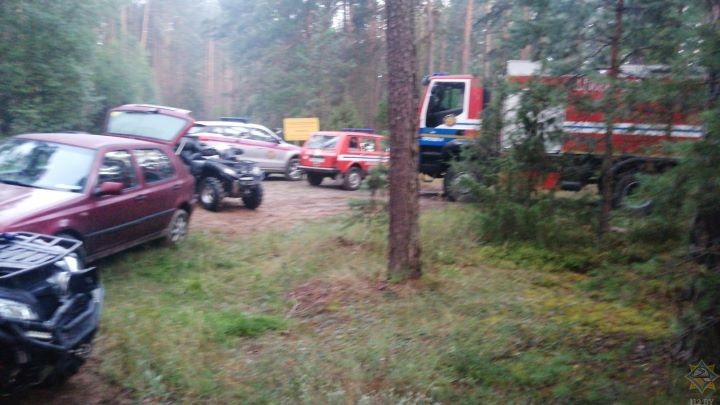 Трое подростков заблудились в Беловежской пуще. Спасатели под утро отыскали их