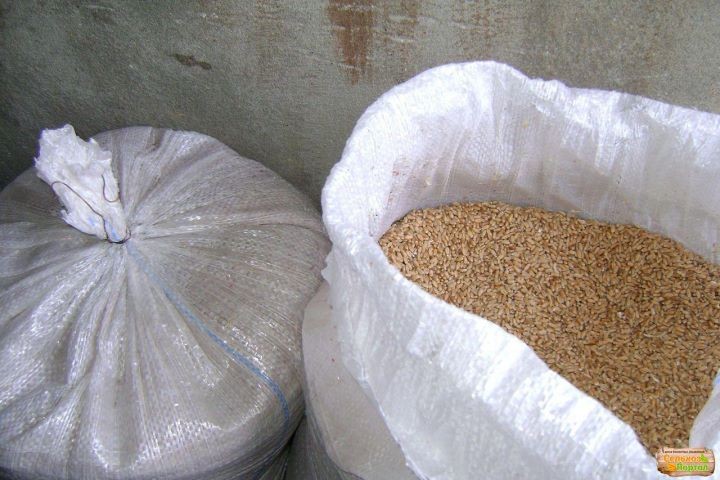 Фото из открытых источников (иллюстрация)