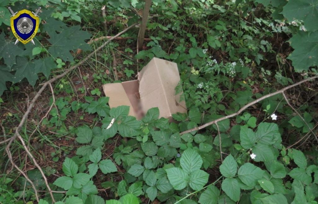 В Мозыре нашли тело новорожденной девочки. Ее оставили в коробке в лесу