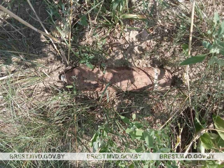 Артснаряд времен войны нашли у фермы в Ляховичском районе