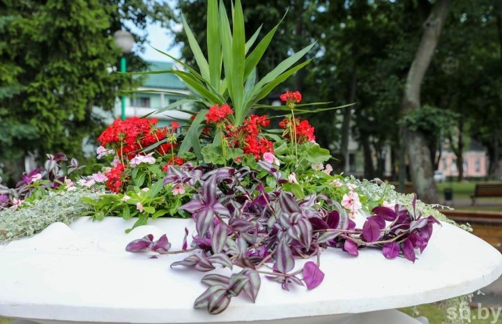 В 2022 году в Бресте пройдет международный фестиваль ландшафтного искусства «Брест – город-сад»