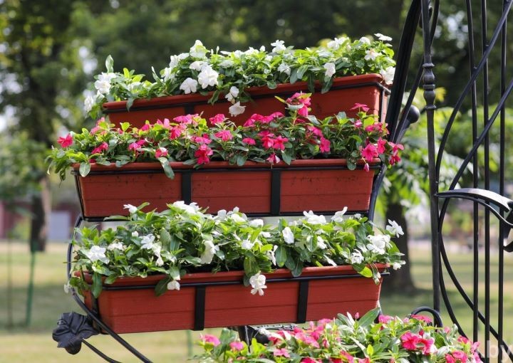 В 2022 году в Бресте пройдет международный фестиваль ландшафтного искусства «Брест – город-сад»