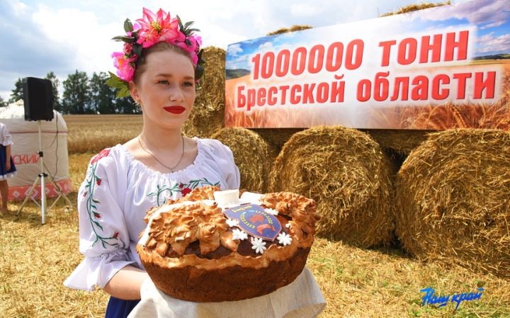 Хлеборобы Брестской области преодолели рубеж в 1 миллион тонн зерна