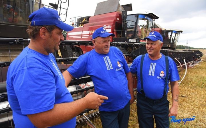 Хлеборобы Брестской области преодолели рубеж в 1 миллион тонн зерна