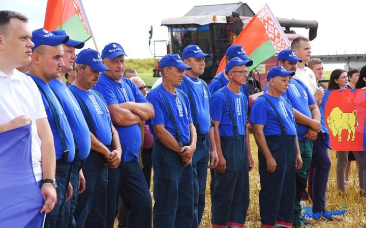 Хлеборобы Брестской области преодолели рубеж в 1 миллион тонн зерна