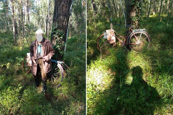 Спасатели нашли женщину, заблудившуюся в лесном массиве Пружанского района