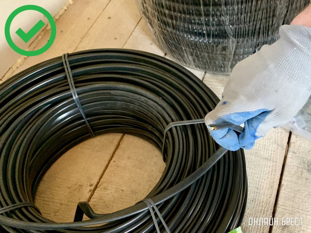 БАТЯЭЛЕКТРИКИ