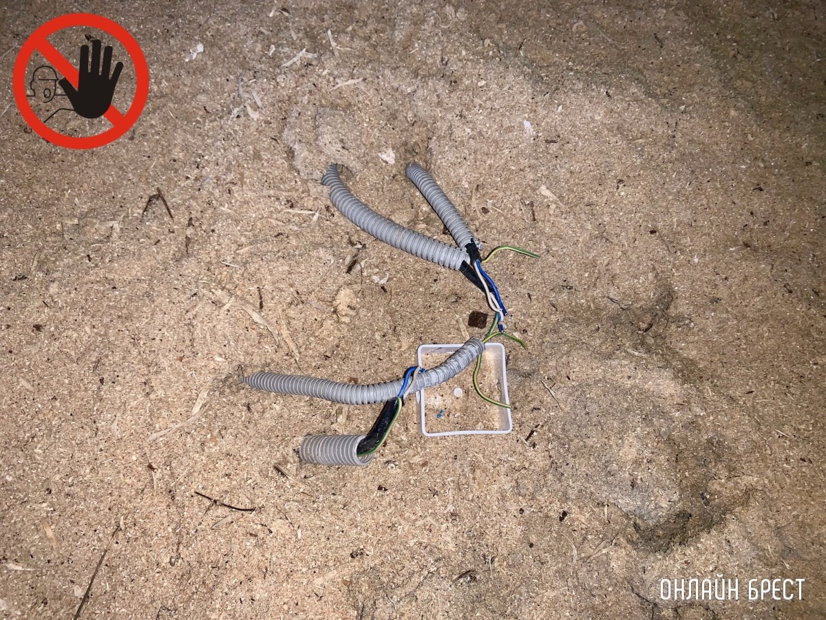 БАТЯЭЛЕКТРИКИ