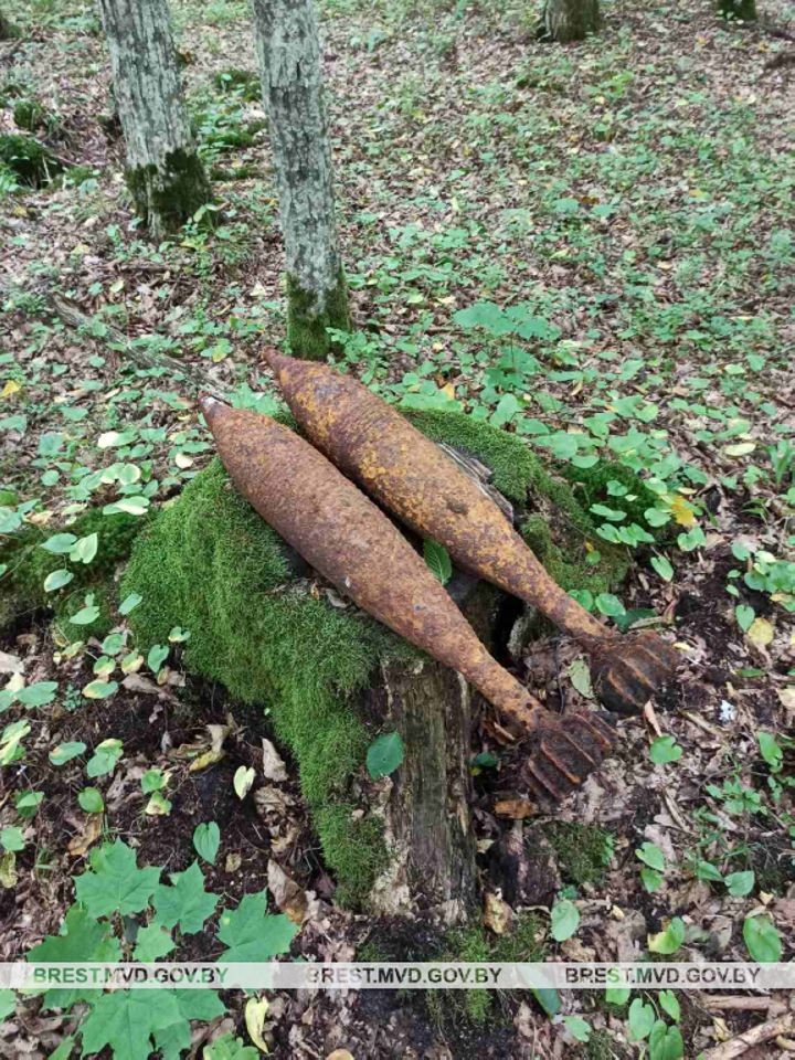 В Малоритском районе обнаружены боеприпасы времен Великой Отечественной войны