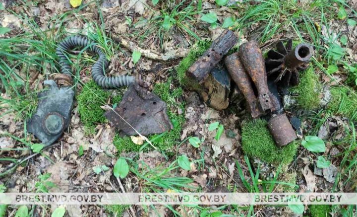 В Малоритском районе обнаружены боеприпасы времен Великой Отечественной войны