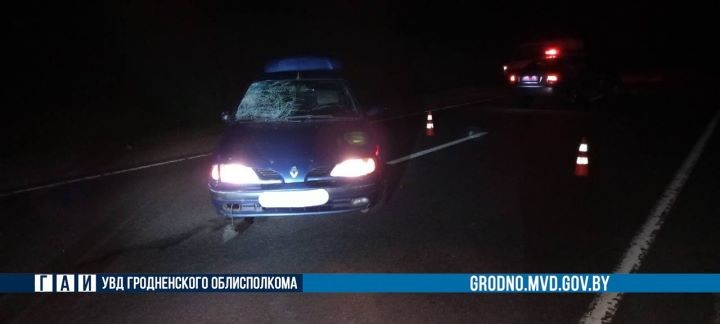 Кобринчанка на Renault насмерть сбила велосипедиста под Гродно