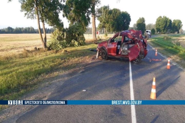 Житель Бреста не справился с управлением автомобиля и вылетел в кювет