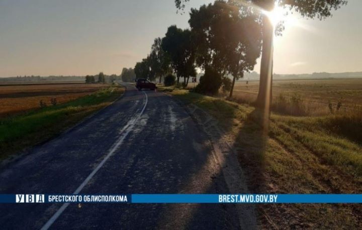 Житель Бреста не справился с управлением автомобиля и вылетел в кювет