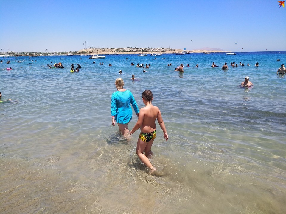 Фото: из открытых источников (иллюстративное)