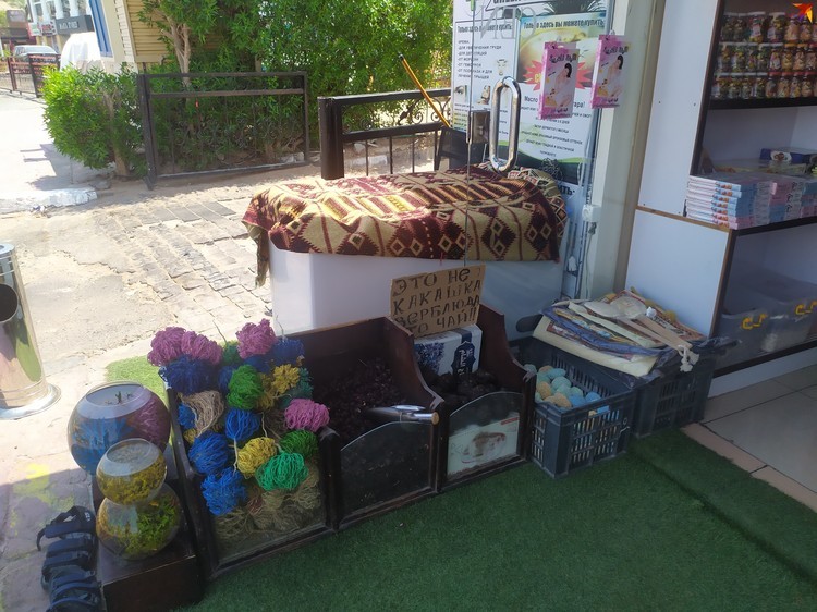 «Это какое-то ненастоящее «всё включено»: как в 2021 году белорусы отдыхают на популярном египетском курорте Шарм-эль-Шейх