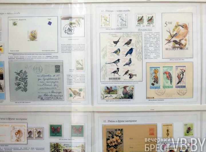 Фото Геннадия Козловского