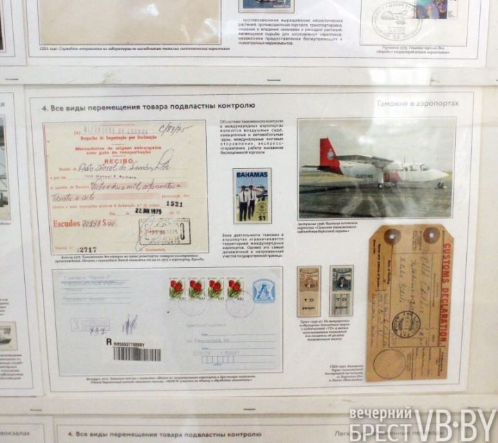 Фото Геннадия Козловского