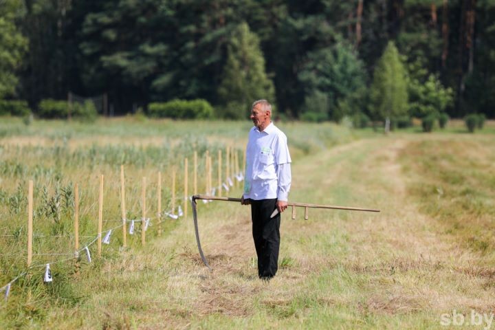 Агроэкофестиваль «Споровские сенокосы ‒ 2021» прошел в деревне Высокое Березовского района