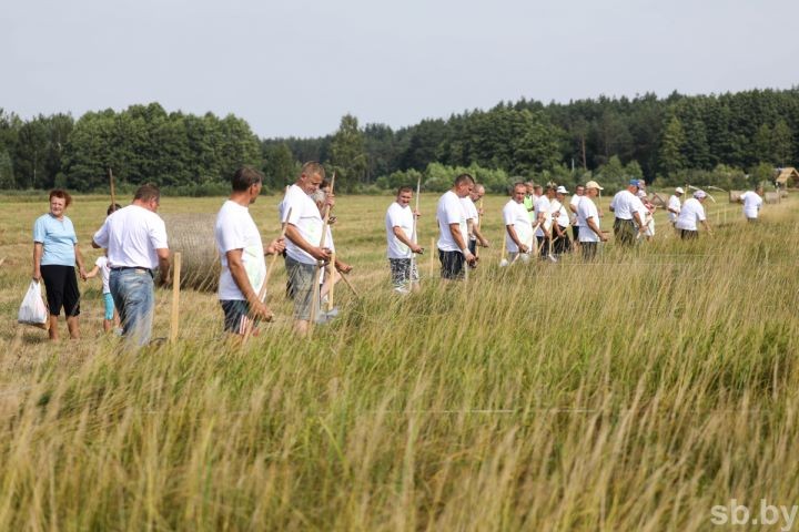 Агроэкофестиваль «Споровские сенокосы ‒ 2021» прошел в деревне Высокое Березовского района