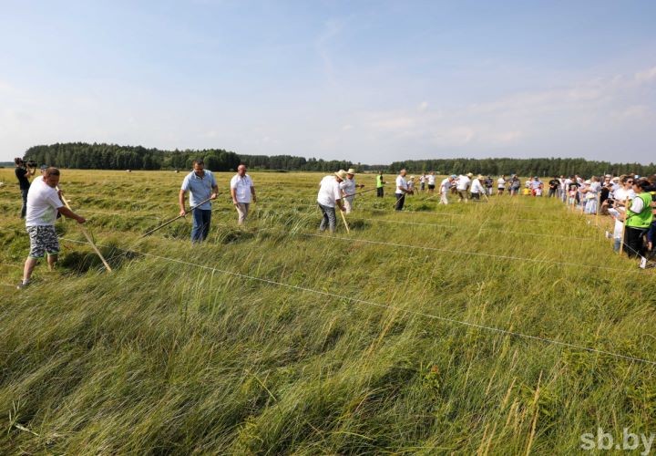 Агроэкофестиваль «Споровские сенокосы ‒ 2021» прошел в деревне Высокое Березовского района