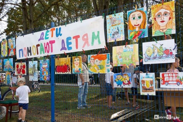 Военная техника, беспилотники и ретро-автомобили: Кобрин отметил день ВВС