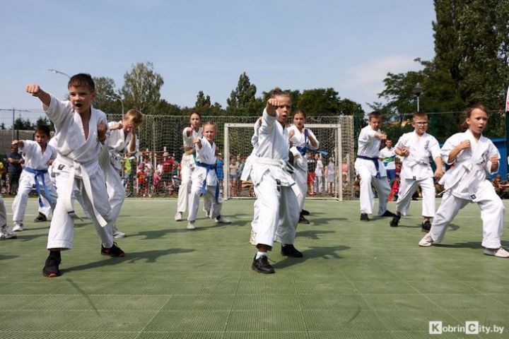 Военная техника, беспилотники и ретро-автомобили: Кобрин отметил день ВВС