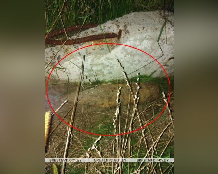 Грибник нашел снаряд вблизи деревни в Кобринском районе. Что делать, если нашли боеприпасы времен ВОВ?