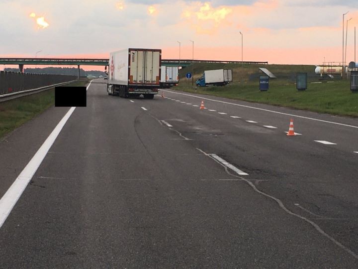 Житель Брестской области на М1 переехал пешехода, который сидел на трассе