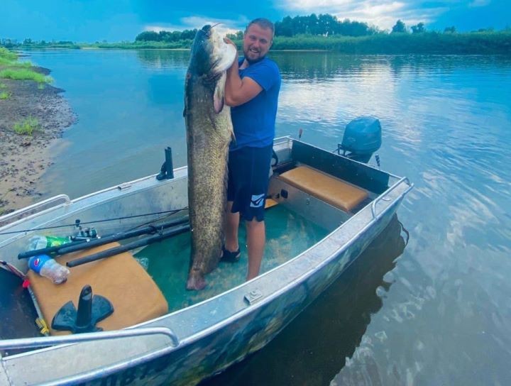 52 килограмма! Белорус поймал огромного сома