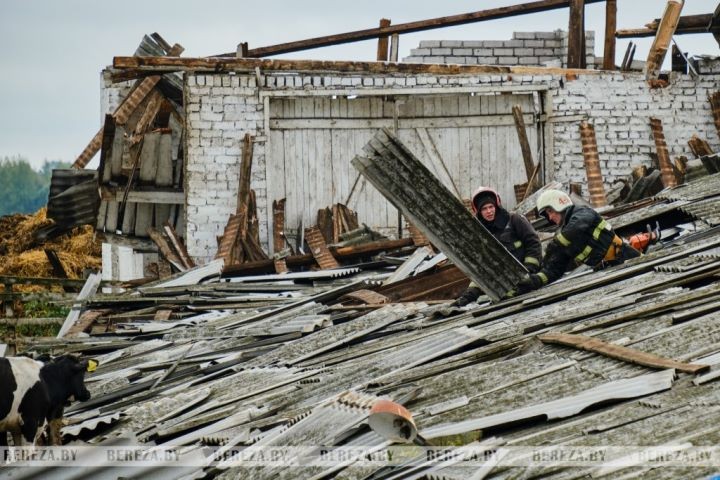 В Березовском районе обрушилась кровля фермы