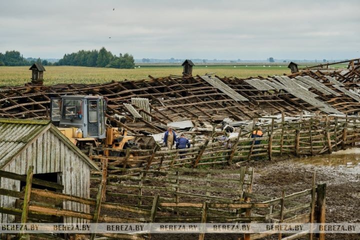 В Березовском районе обрушилась кровля фермы