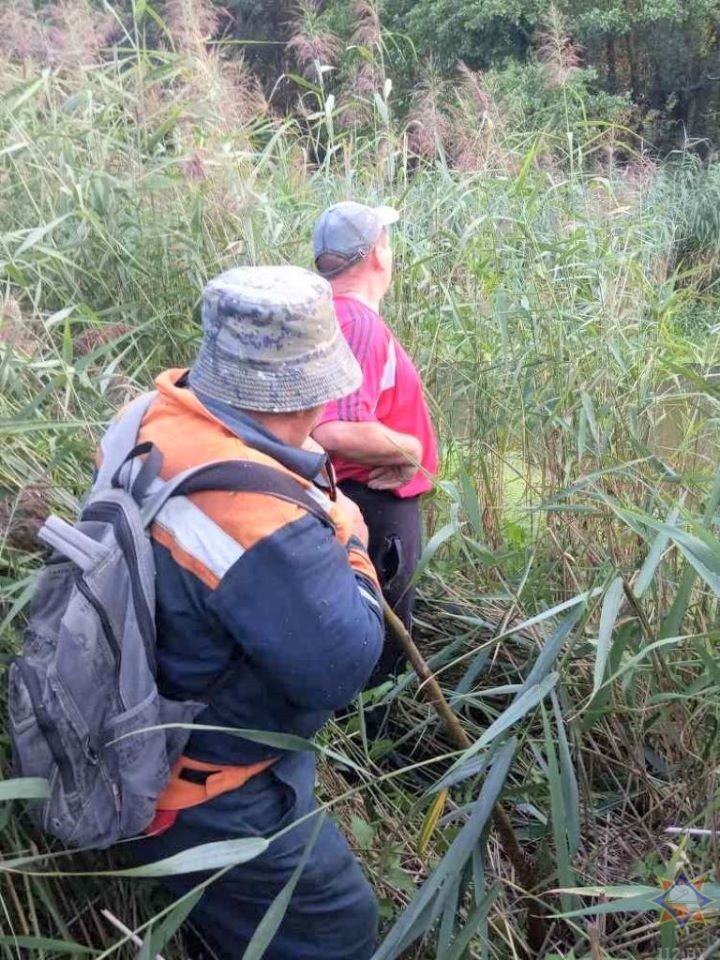 Ляховичские спасатели помогли мужчине, который стал «заложником» опасной ситуации в лесу