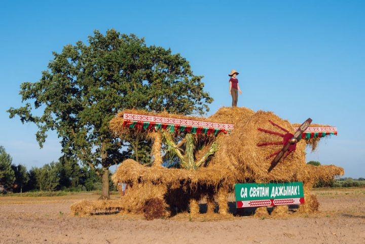 В Столинском районе у дороги «приземлился» самолет