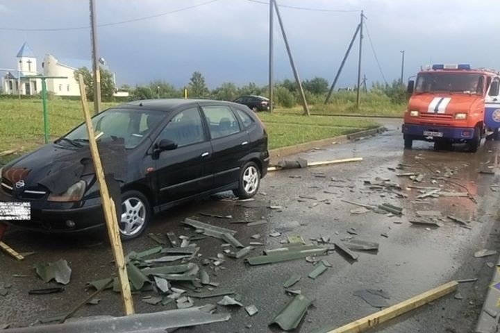 Придавило деревом женщину, снесло 10 крыш и помяло 38 машин. Вот что натворила стихия на Витебщине