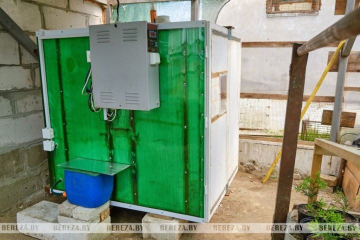 Супруги из Брестской области выращивают экзотические растения