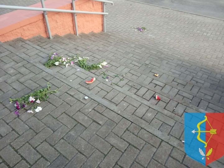 Живет ли в Логишине совесть? В Пинском районе неустановленное лицо вырвало цветы на клумбе и повредило секцию декоративного забора