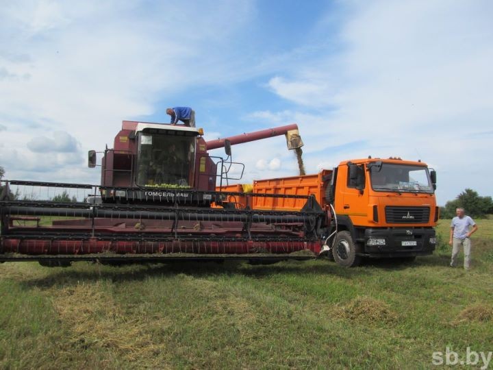 Уборочная кампания в Брестской области близится к завершению